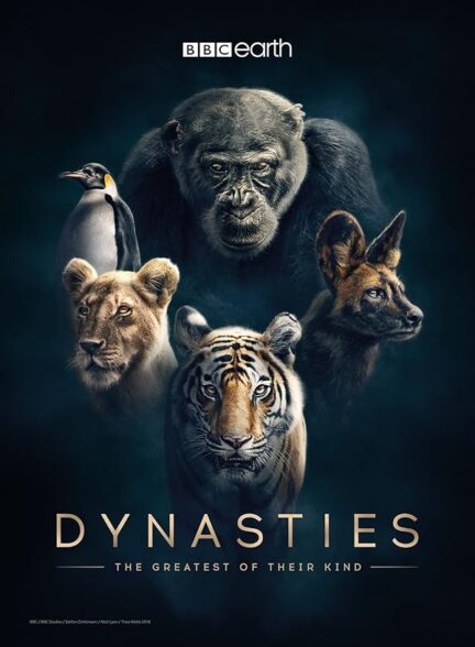 دانلود سریال سلسله ها | Dynasties
