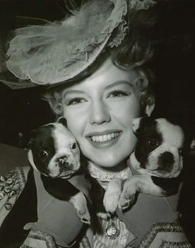 Sally Fraser Sally Fraser