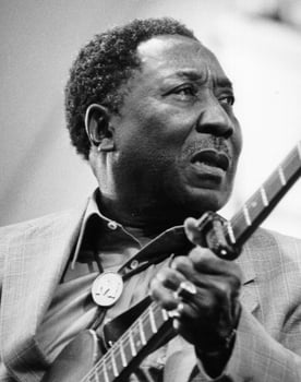 Muddy Waters Muddy Waters