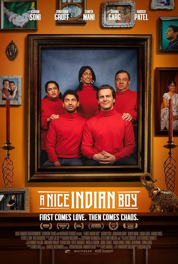 دانلود فیلم یک پسر خوب هندی | A Nice Indian Boy 2024