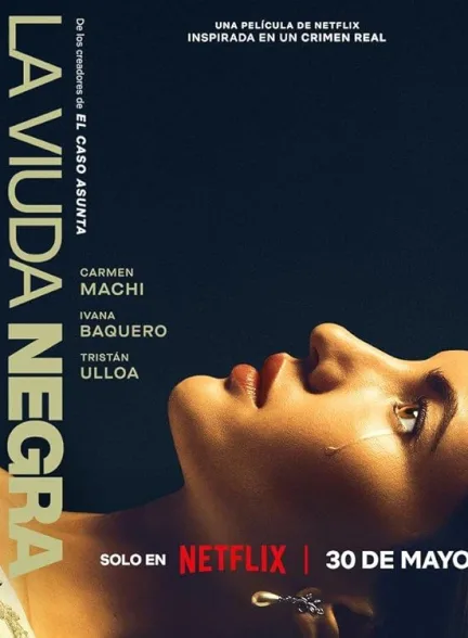 دانلود فیلم بازی یک بیوه | 2025 A Widow’s Game