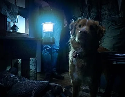 دانلود فیلم پسر خوب 2025  Good Boy