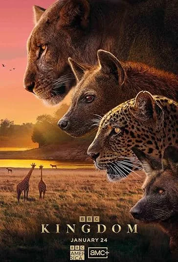 دانلود سریال پادشاهی | Kingdom 2025